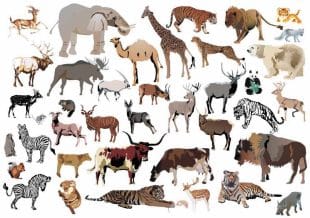 Small tattoos with wild animals, small animal tattoos, fake tattoos.