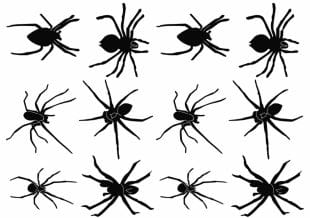 Spider tattoos, spider, spiders, black spiders fake tattoos.