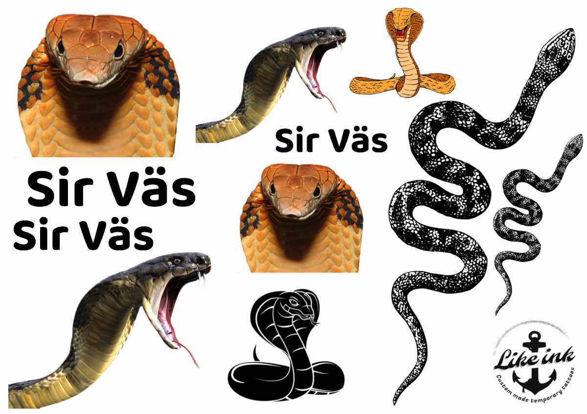 Sir Väs Kungskobra tatuering