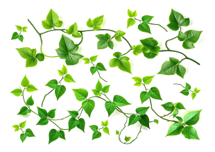 Temporary tattoo sheet featuring green vine and leaf designs.