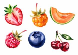 Watercolour illustrations of various fruits on a white background: a halved strawberry, a golden raspberry, a cantaloupe slice, a raspberry, a blueberry, and two cherries with leaves.