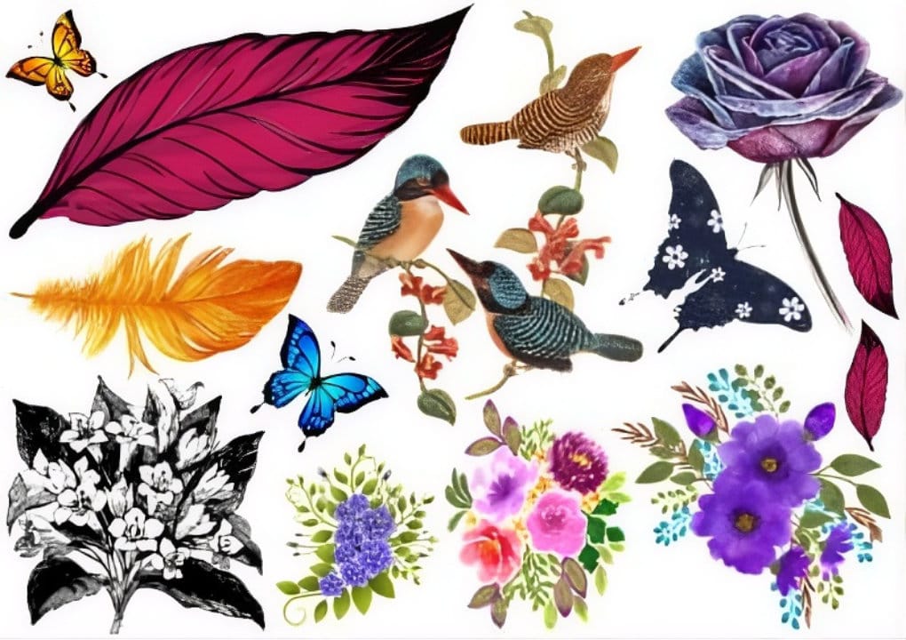 A collage of colorful elements including birds, butterflies, vibrant flowers, leaves, and feathers arranged on a white background.